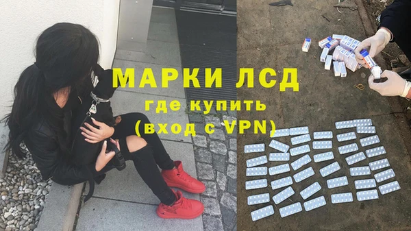 мяу мяу мука Елизово