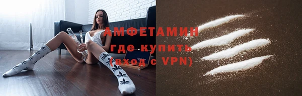 ECSTASY Ельня
