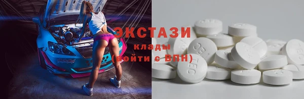 ECSTASY Ельня