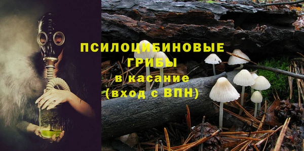 мескалин Елабуга