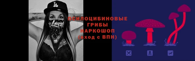 мяу мяу мука Елизово