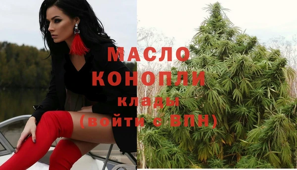 ECSTASY Ельня
