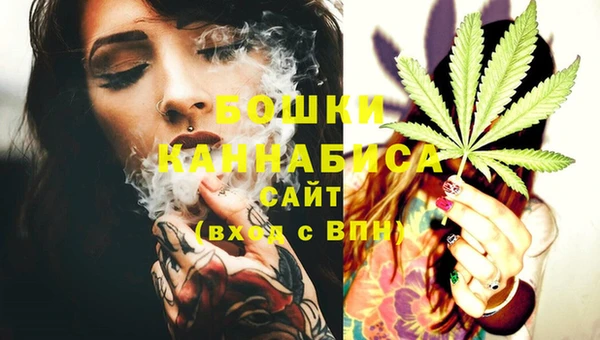 ECSTASY Ельня