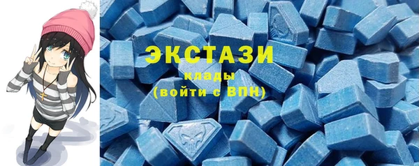 ECSTASY Ельня