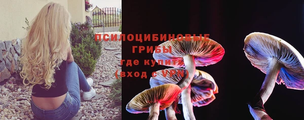 мескалин Елабуга