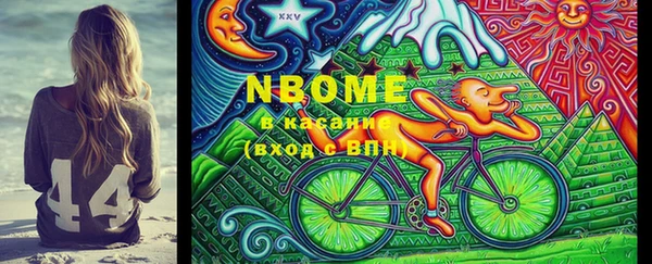 ECSTASY Ельня