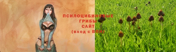 мескалин Елабуга
