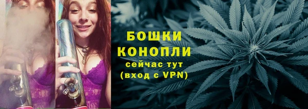 ECSTASY Ельня